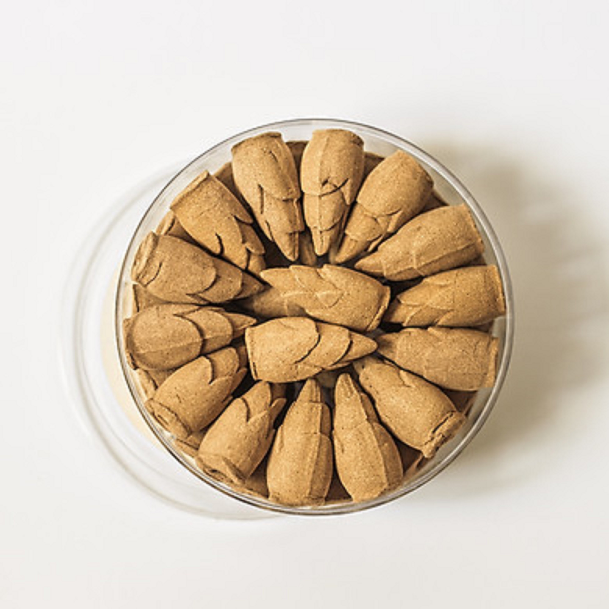 Nụ trầm hương là gì? Công dụng và cách sử dụng nụ trầm hương?