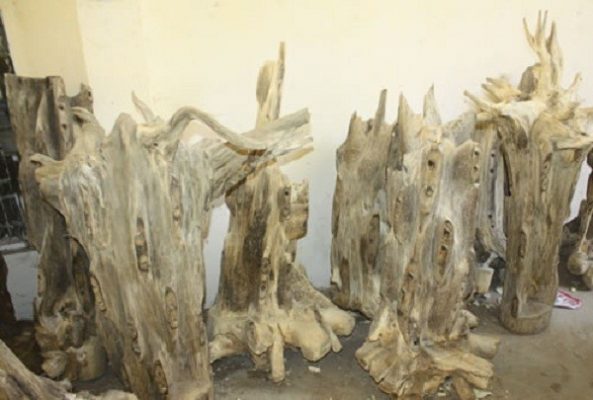 tram-huong-bach-ky-3