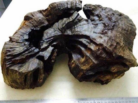 tram-huong-thanh-ky-4