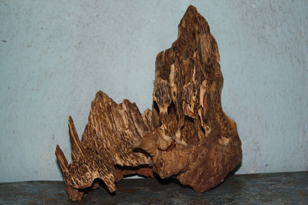 phan-biet-tram-huong-va-ky-nam-7