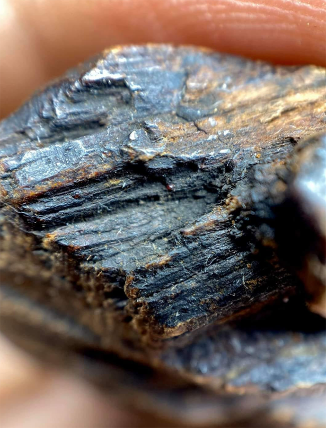 Trầm hương cao cấp có mấy loại? Bí quyết phân biệt trầm hương