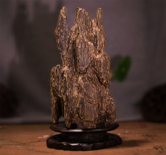 Sự khác biệt giữa Kỳ Nam và Trầm Hương ít người biết