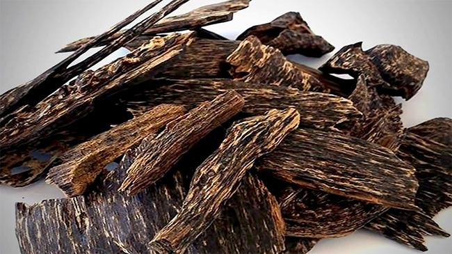 Giải đáp Khánh Hòa được mệnh danh là “Xứ sở Trầm Hương”