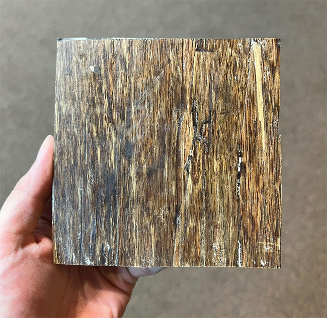 Trầm hương sánh chìm là gì? Thực hư về trầm hương sánh chìm