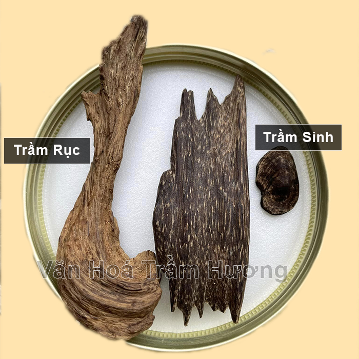 Cách nhận biết trầm hương thật chi tiết và chính xác nhất
