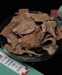 Công dụng của trầm miếng chân sam size trung