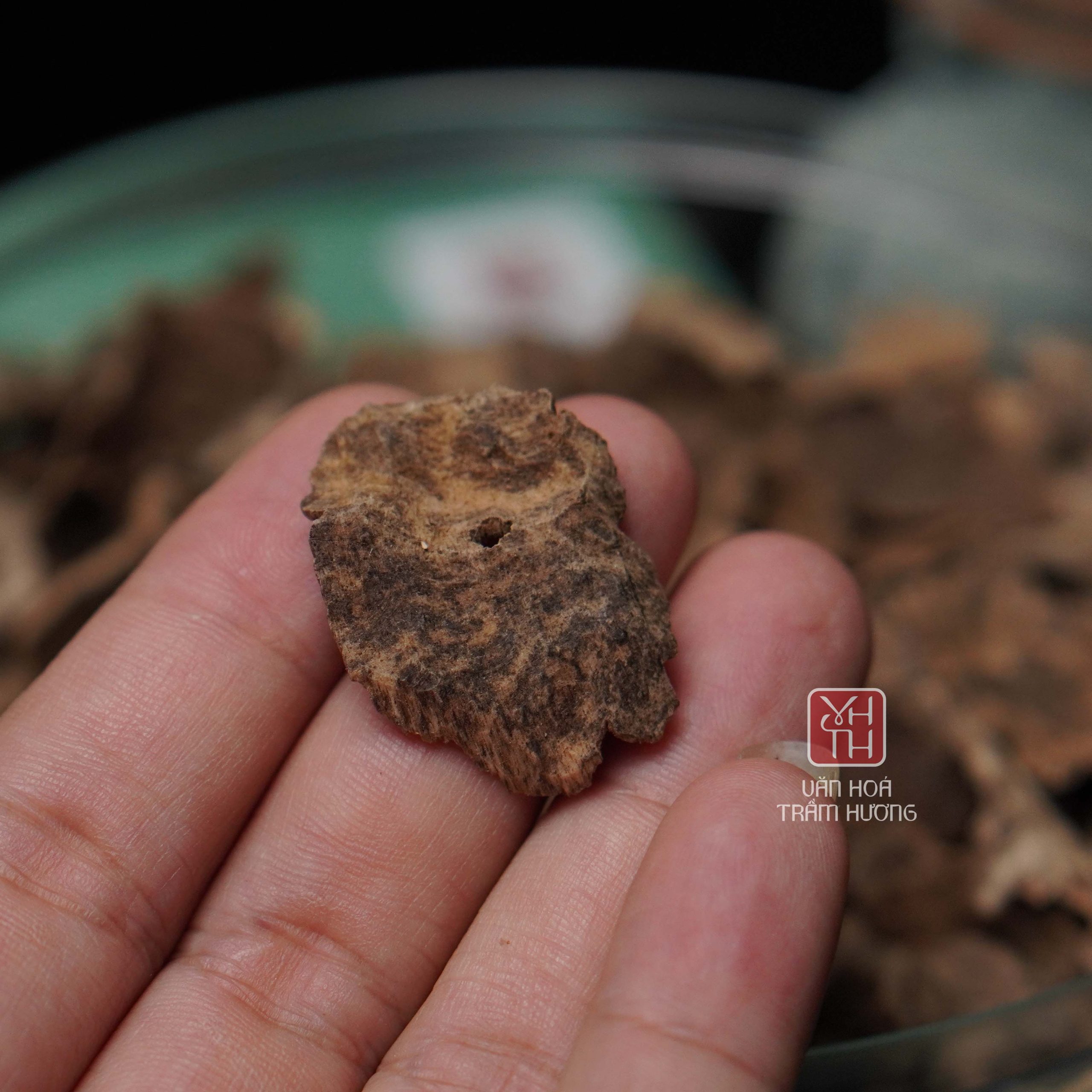 Trầm miếng chân sam loại nhiều dầu là sản phẩm cao cấp