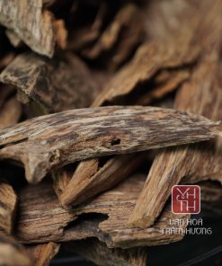 Vì sao nên chọn trầm miếng tại Văn Hoá Trầm Hương