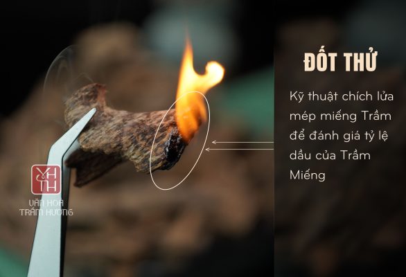 Cách xác định số năm tích trầm hương