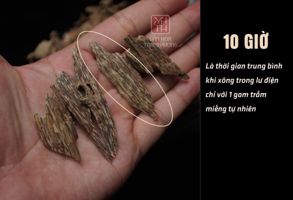 Văn Hóa Trầm Hương cung cấp trầm chính gốc từ rừng Việt Nam