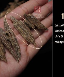 Văn Hóa Trầm Hương cung cấp trầm chính gốc từ rừng Việt Nam