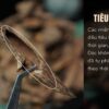 Trầm kiến cao cấp tự nhiên 100% - Ảnh 9