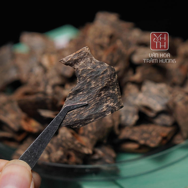 Số năm tích trầm là gì? Yếu tố quan trọng quyết định giá trị trầm hương