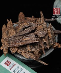 Trầm kiến rừng VIP