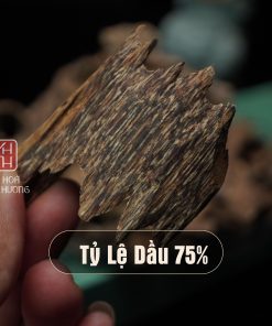 Trầm kiến thượng hạng chứa hàm lượng tinh dầu cực cao (75%)