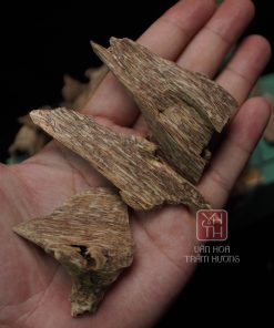 Trầm kiến tự nhiên