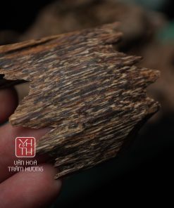 Trầm kiến là gì?