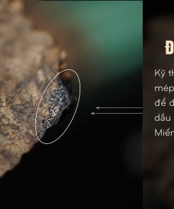 Trầm miếng Sam Chai chứa hàm lượng tinh dầu cao