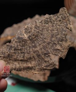 Trầm hương Quảng Nam