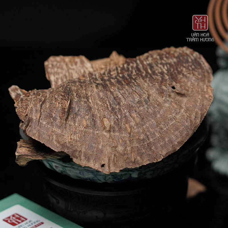 Trầm miếng là gì? Cách nhận biết và phân loại trầm miếng