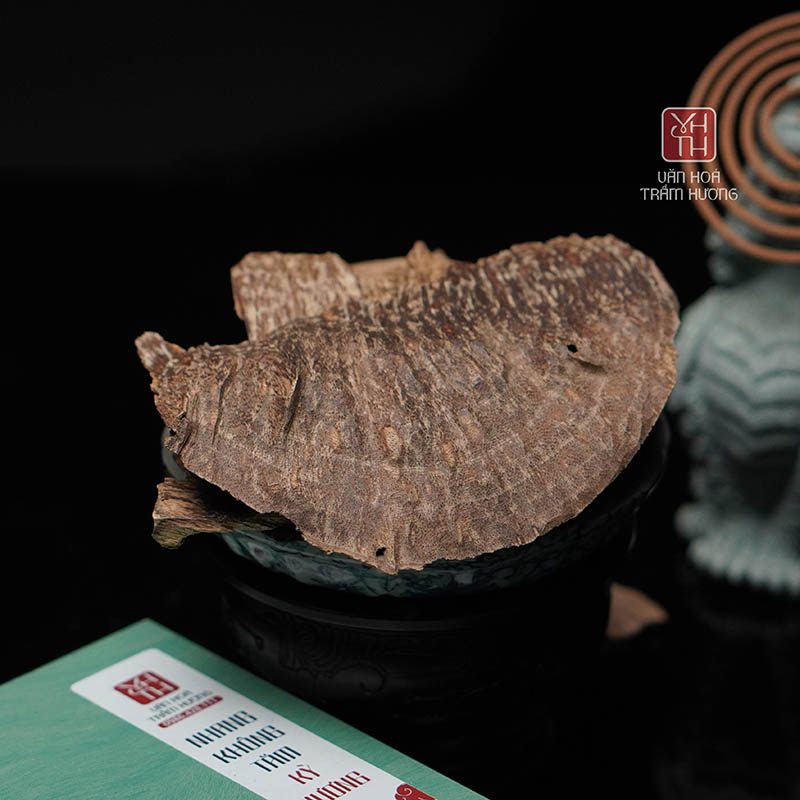 Trầm hương Quảng Nam – Thông tin hữu ích cho bạn