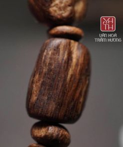 Giới thiệu về trầm mắt tử